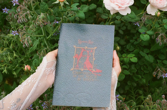 'All Creatures In The Realm of Earth' Zine